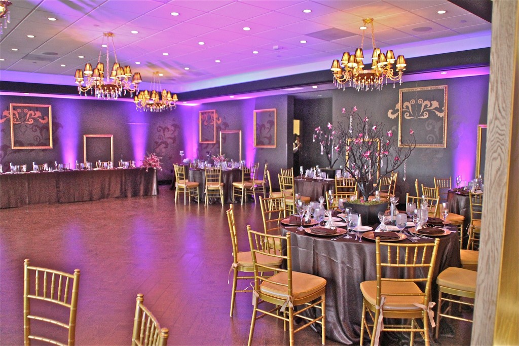 Wedding with Purple Up Lights
