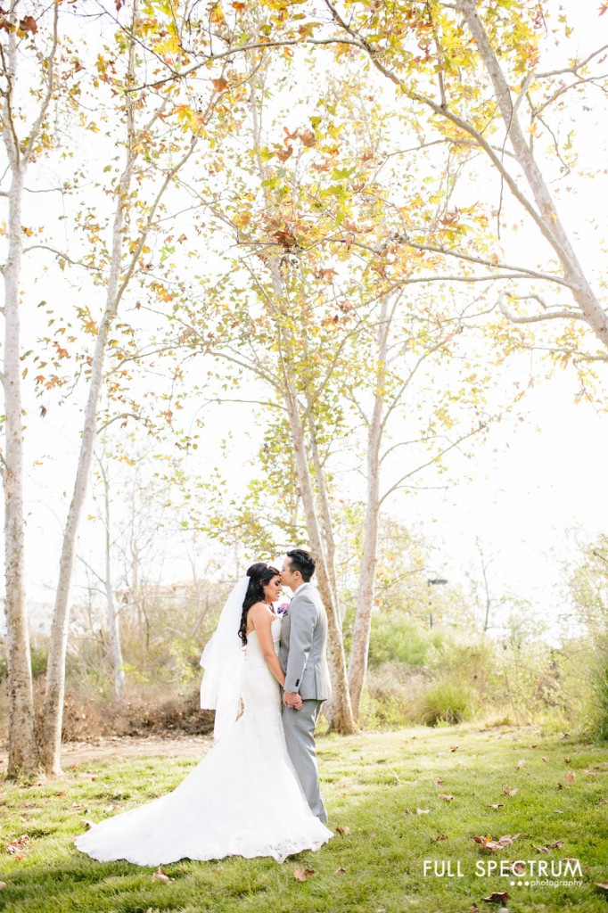 bride groom in the trees wedding