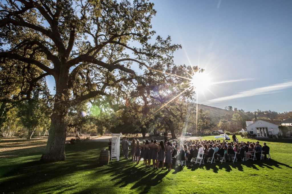 Triunfo Creek Vineyard Wedding Oak Tree